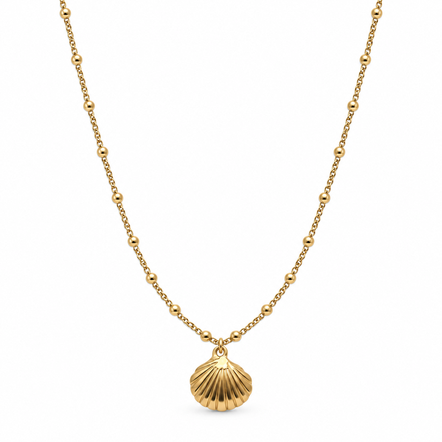 Pearl Shell Necklace - Main