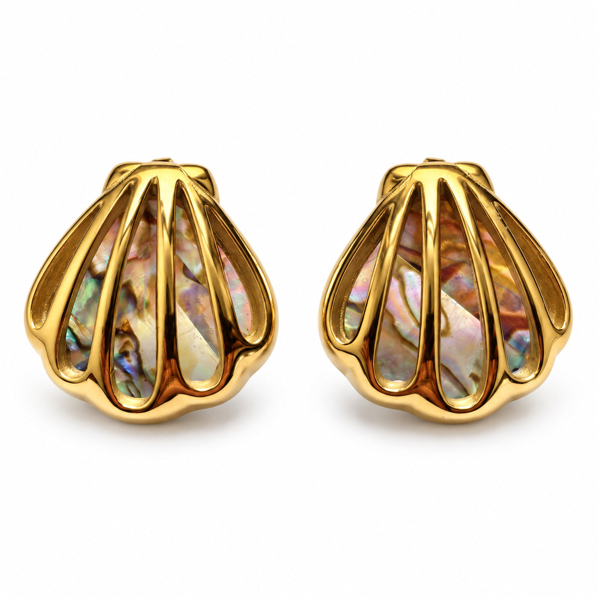 Ribbed Shell Stud Earrings main view