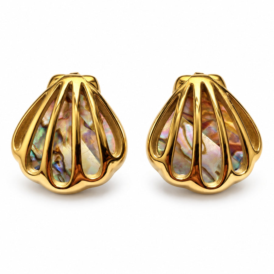 Ribbed Shell Stud Earrings main view